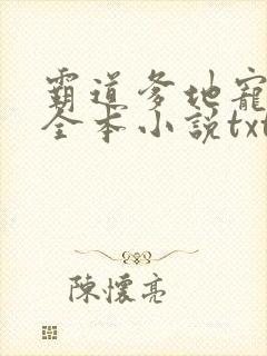 霸道爹地宠又撩全本小说txt下载