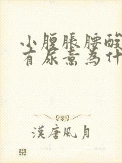 小腹胀腰酸经常有尿意为什么封面