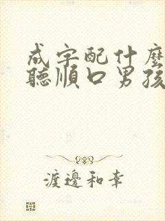 成字配什么字好听顺口男孩