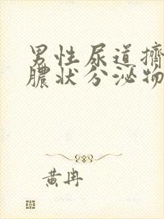 男性尿道挤出黄脓状分泌物