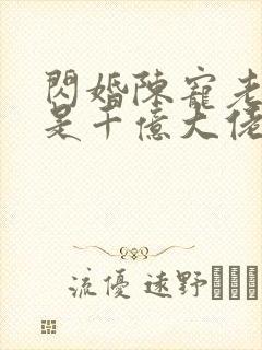 闪婚陈宠老公竟是千亿大佬