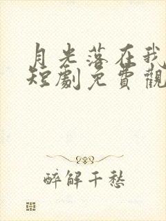 月光落在我手上短剧免费观看封面