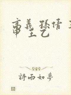 高义 孙倩 王申 王乙封面