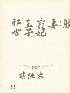 邪王宠妻:腹黑世子妃