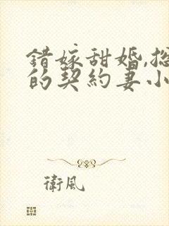 错嫁甜婚,总裁的契约妻小说