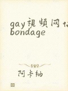 gay视频网站bondage