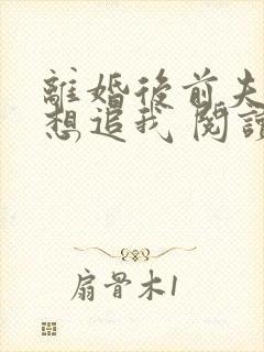 离婚后前夫总是想追我 阅读