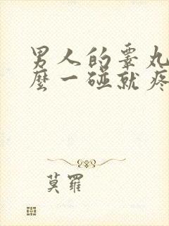 男人的睾丸为什么一碰就疼