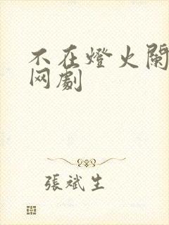 不在灯火阑珊处网剧