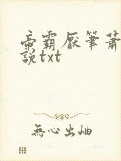 帝霸厌笔萧生小说txt