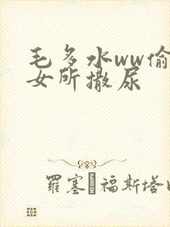 毛多水ww偷拍女所撒尿