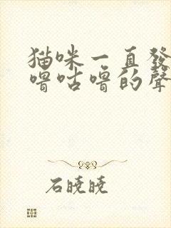 猫咪一直发出咕噜咕噜的声音是为什么