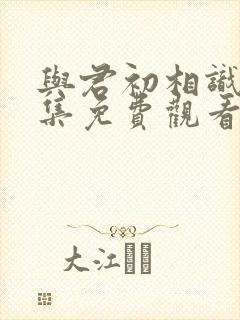 与君初相识31集免费观看封面
