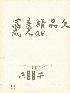 国产精品久久久成人av