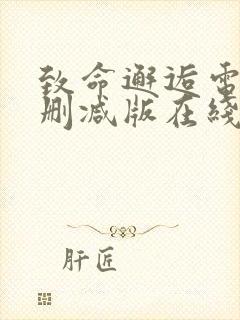 致命邂逅电影未删减版在线观看