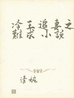 冷王追妻之医妃难求 小说