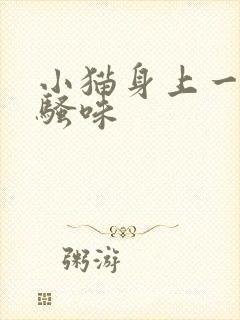 小猫身上一股尿骚味