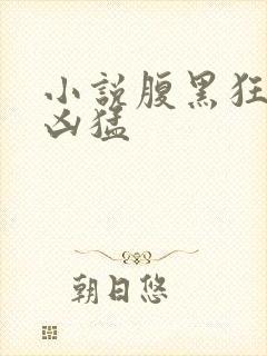 小说腹黑狂妃太凶猛