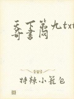 天下第九txt奇书网封面