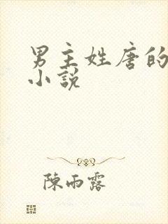 男主姓唐的总裁小说封面