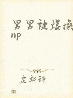 男男被爆操四爱np