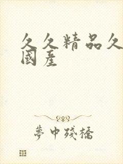 久久精品久久久国产封面