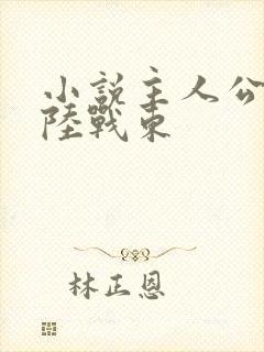 小说主人公苏灿陆战东