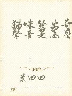 猫咪发出奇怪的声音是怎么回事