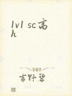 1v1 sc高h