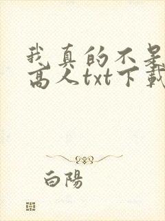 我真的不是绝世高人txt下载