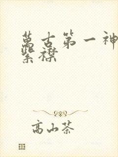 万古第一神听书紫襟封面