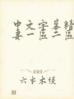 中文字幕精品人妻一区二区