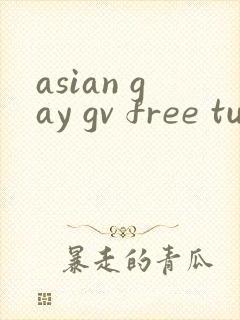 asian gay gv free tube 林晓莜