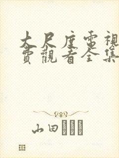 大尺度电视剧免费观看全集高清