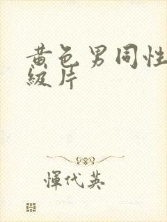 黄色男同性恋一级片封面