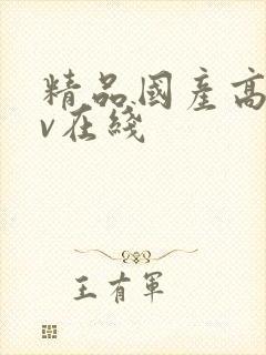 精品国产高清av在线