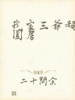 我家三爷超宠的圆房