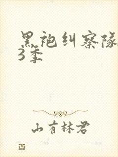 黑袍纠察队 第3季