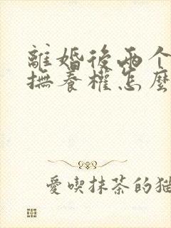 离婚后两个孩子抚养权怎么判定的