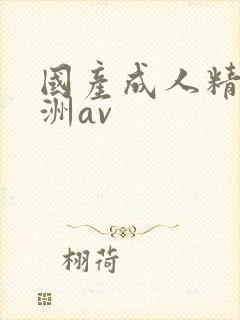 国产成人精品亚洲av