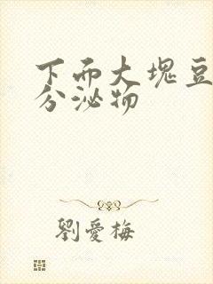 下面大块豆腐渣分泌物