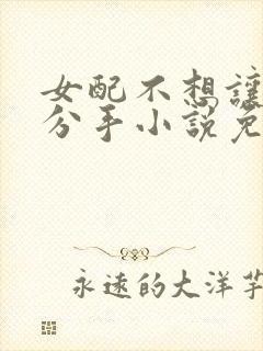 女配不想让主角分手小说免费阅读封面