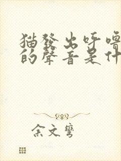 猫发出呼噜呼噜的声音是什么意思