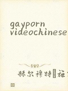 gaypornvideochinese