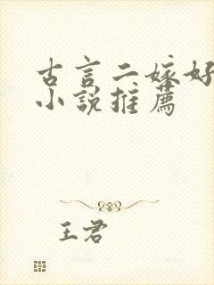 古言二嫁好看的小说推荐