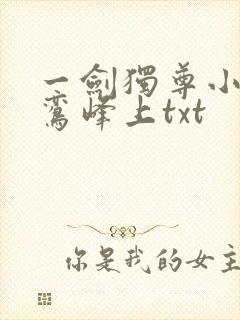 一剑独尊小说青鸾峰上txt