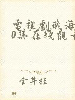 电视剧藏海传40集在线观看