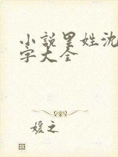 小说里姓沈的名字大全