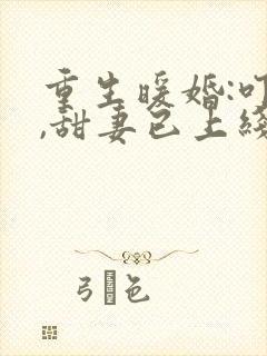 重生暖婚:叮咚,甜妻已上线封面