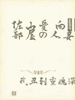 佐山爱 向かい部屋の人妻在线